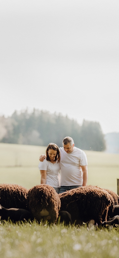 Die Eigentümer von Wollstixx stehen vor ihrer Schafherde, umgeben von einer sanften Hügellandschaft.
